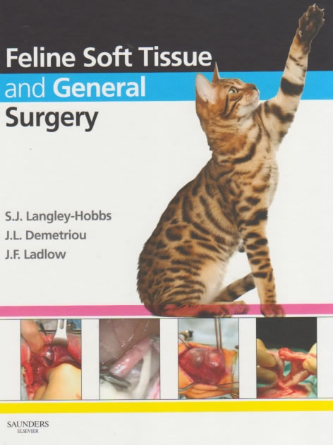 Feline soft tissue and general surgery