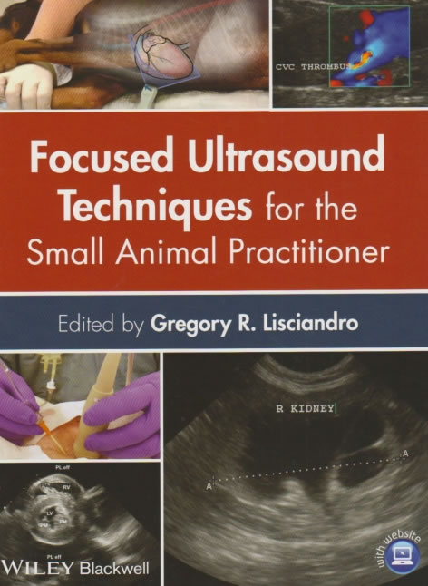Focused ultrasound techniques for the small animal practitioner