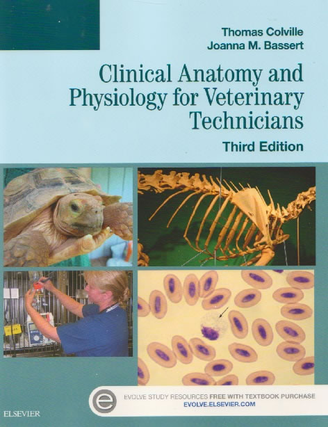 Clinical anatomy and physiology for veterinary technicians